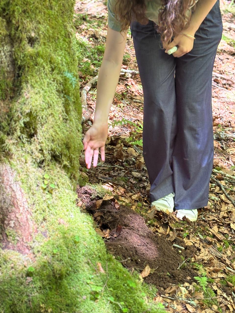 IMAGE 2025-06-02 14:22:32