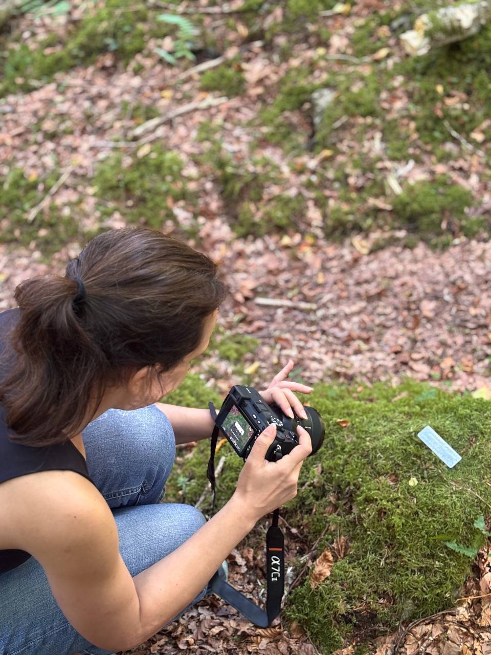 IMAGE 2025-09-21 17:10:34