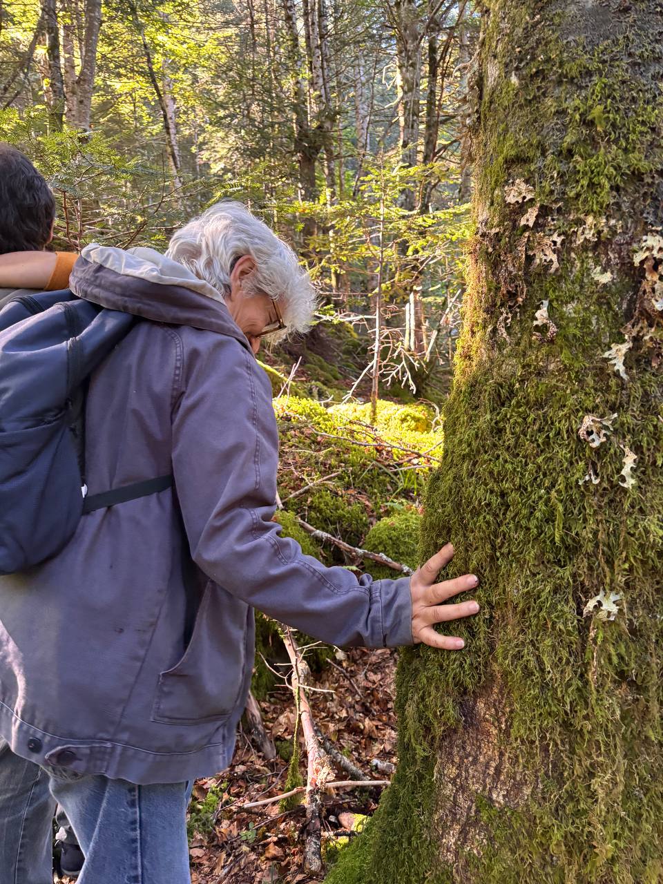 IMAGE 2025-09-29 17:27:57