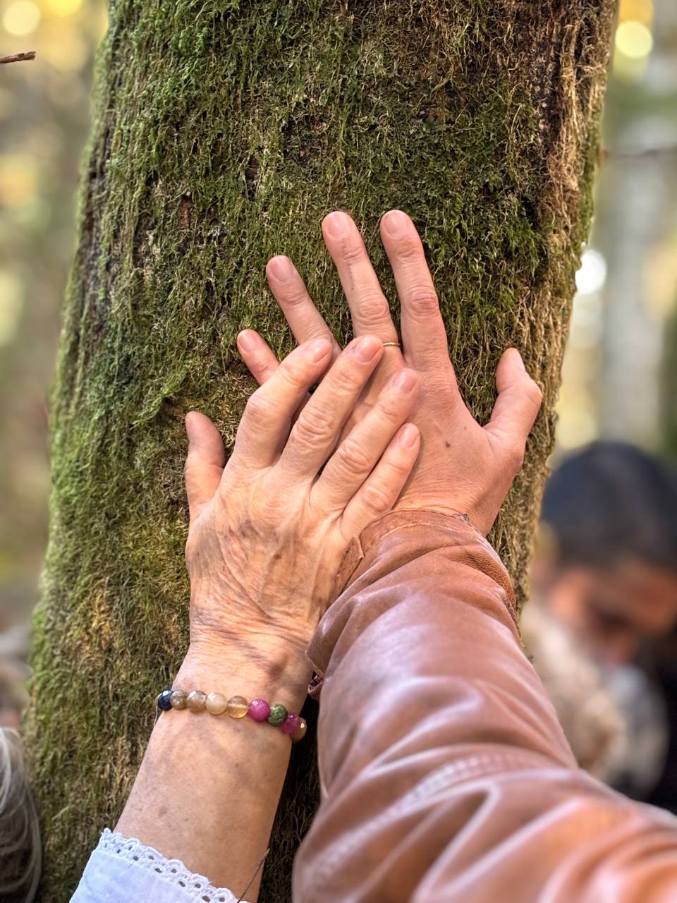 IMAGE 2025-11-20 18:28:18