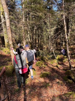 C5BB179D-FB21-4758-9966-DC36D01BABD8_1_105_c