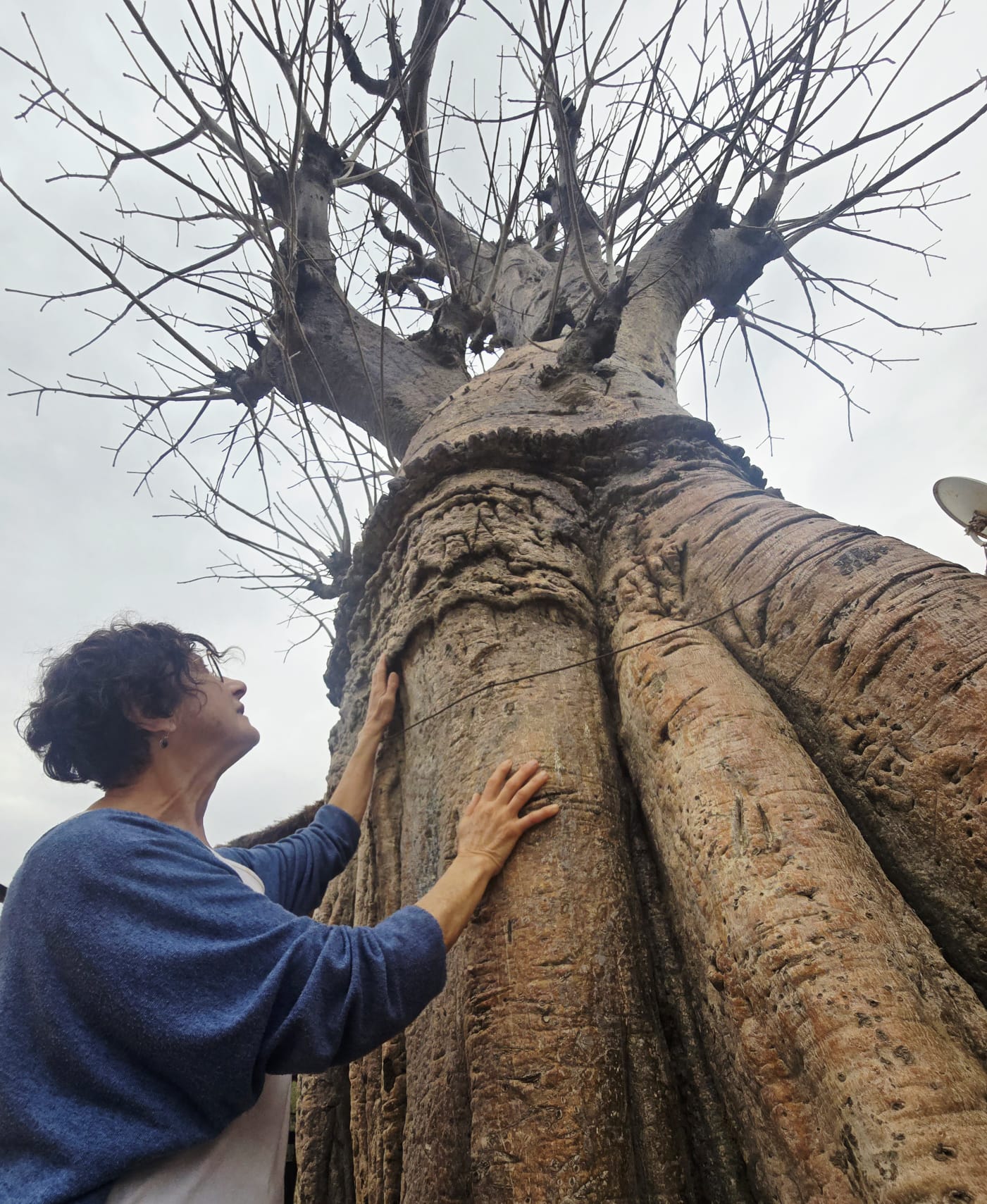 WhatsApp Image 2026-03-04 at 21.45.12